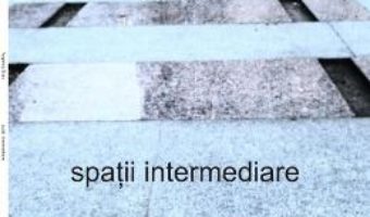 Cartea Spatii intermediare – Angelica Stan (download, pret, reducere)