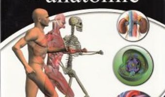 Download  Atlas de anatomie – Irina Paller PDF Online