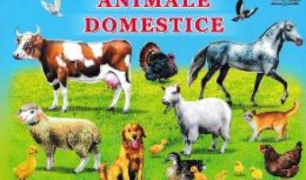 Cartea Animale domestice (download, pret, reducere)