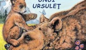 Cartea Aventurile unui ursulet – Sa cunoastem lumea inconjuratoare! (download, pret, reducere)