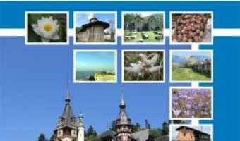 Cartea Resurse si destinatii turistice in Romania – Nicolae Neacsu, Andreea Baltaretu (download, pret, reducere)