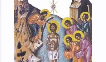 Cartea Botezul Domnului. Cele mai frumoase predici – Sofian Boghiu, Ion Buga (download, pret, reducere)