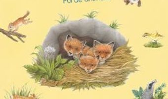 Cartea Vino cu noi in natura! Pui de animale – Susanne Riha (download, pret, reducere)