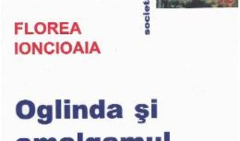 Cartea Oglinda si amalgamul – Florea Ionciaia (download, pret, reducere)