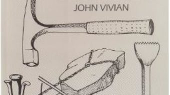 Download  Ziduri din piatra – John Vivian PDF Online