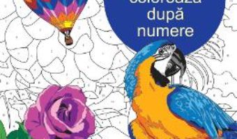 Download  Relaxare: Coloreaza dupa numere PDF Online