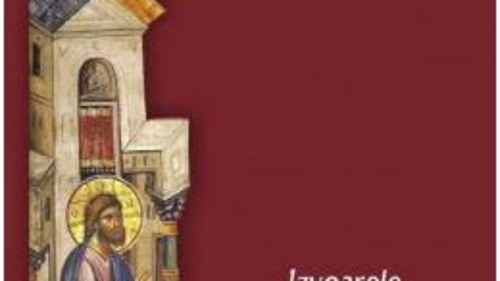 Pret Carte Biserica si dreptul Vol. 2: Izvoarele dreptului canonic ortodox – Liviu Stan PDF Online