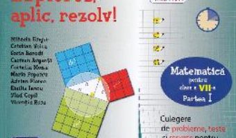 Cartea Culegere de Matematica – Clasa 7. Partea 1 – Mihaela Singer (download, pret, reducere)