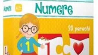 Pret Carte Puzzle educativ: Numere PDF Online