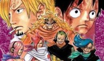 Cartea One Piece, Vol. 84 – Eiichiro Oda (download, pret, reducere)