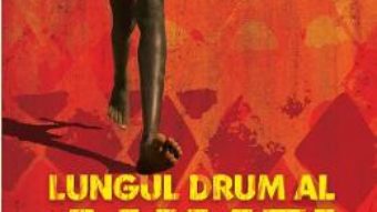 Cartea Lungul drum al Aumei – Eucabeth Odhiambo (download, pret, reducere)