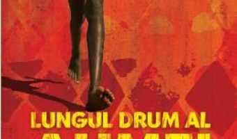 Cartea Lungul drum al Aumei – Eucabeth Odhiambo (download, pret, reducere)