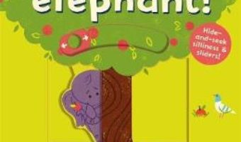 Cartea I thought I saw an… elephant! – Ruth Symons (download, pret, reducere)