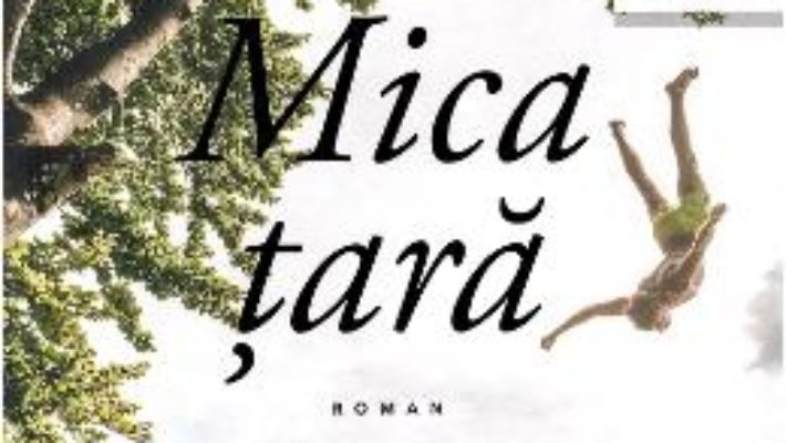 Cartea Mica tara – Gael Faye (download, pret, reducere)