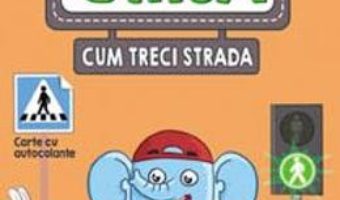 Cartea Ai grija cum treci strada (download, pret, reducere)