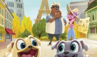 Cartea Disney Prietenii catelusi – Aventuri cu Bingo si Rolly (download, pret, reducere)