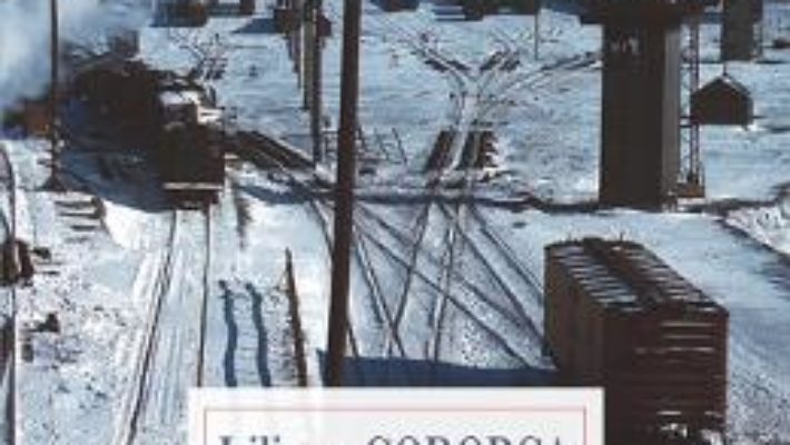 Cartea Capatul drumului – Liliana Corobca (download, pret, reducere)