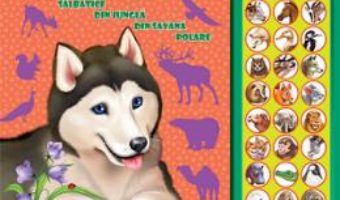 Cartea Carte cu sunete: Animale (romana+engleza) – Inesa Tautu (download, pret, reducere)