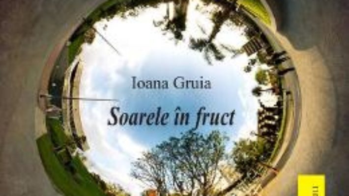 Cartea Soarele in fruct – Ioana Gruia (download, pret, reducere)