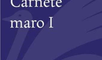Cartea Carnete maro 1 – Aurel Dumitrascu (download, pret, reducere)