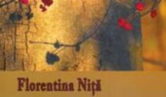 Cartea Zidiri de cuvant – Florentina Nita pdf