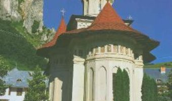 La curtile duhului Vol.2. Vetre manastiresti din Transilvania si Maramures – Razvan Bucuroiu PDF (download, pret, reducere)