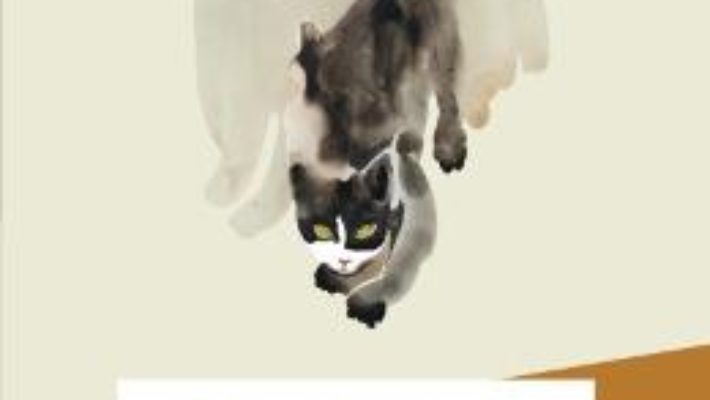 Pisica musafir – Takashi Hiraide PDF (download, pret, reducere)